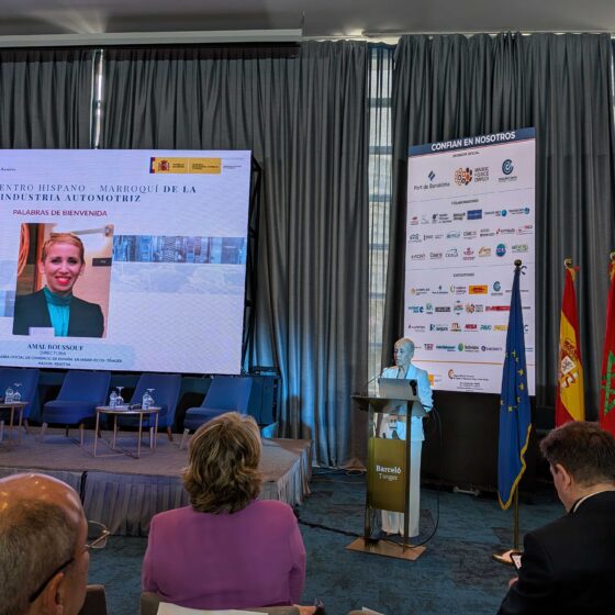 Indústria automotriz Marruecos. XI Encuentro Hispano-marroquí del sector de la Automoción. Kevin Mc Allister, CTO y Darío Terrés CEO_ WonderBits. AVIA. IVACE+i